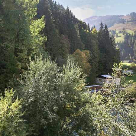Apartment In Salzburgerland Near The Ski Area 비에호펜 외부 사진