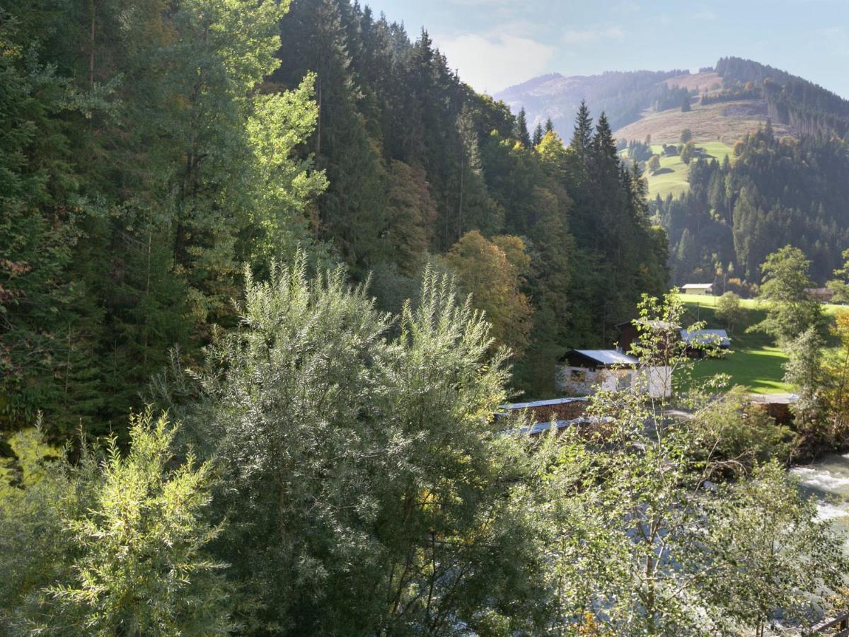 Apartment In Salzburgerland Near The Ski Area 비에호펜 외부 사진