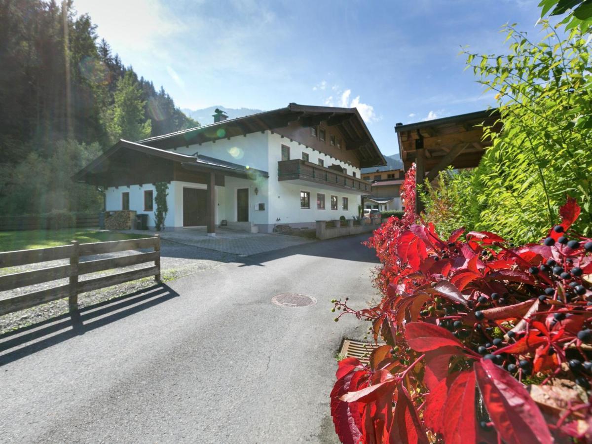 Apartment In Salzburgerland Near The Ski Area 비에호펜 외부 사진