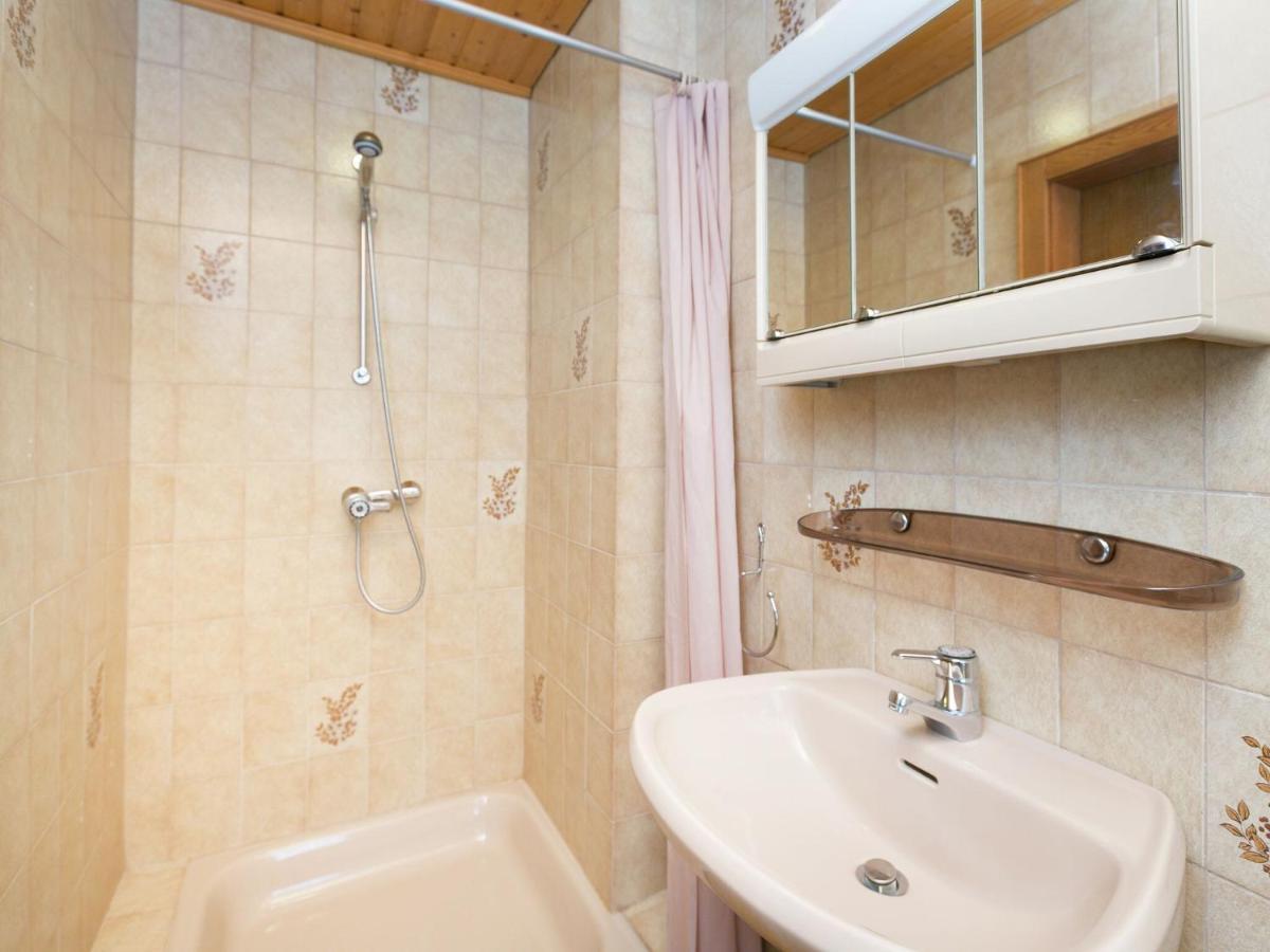 Apartment In Salzburgerland Near The Ski Area 비에호펜 외부 사진