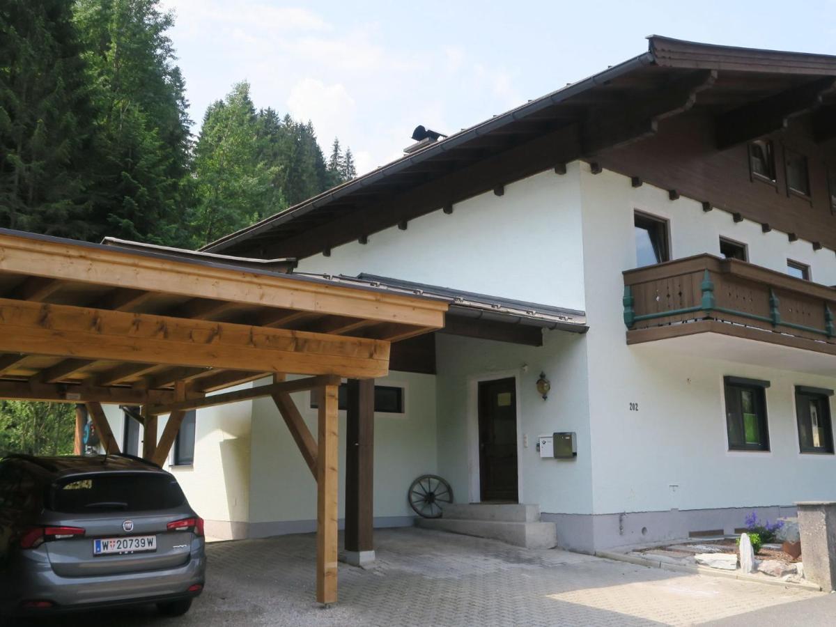 Apartment In Salzburgerland Near The Ski Area 비에호펜 외부 사진