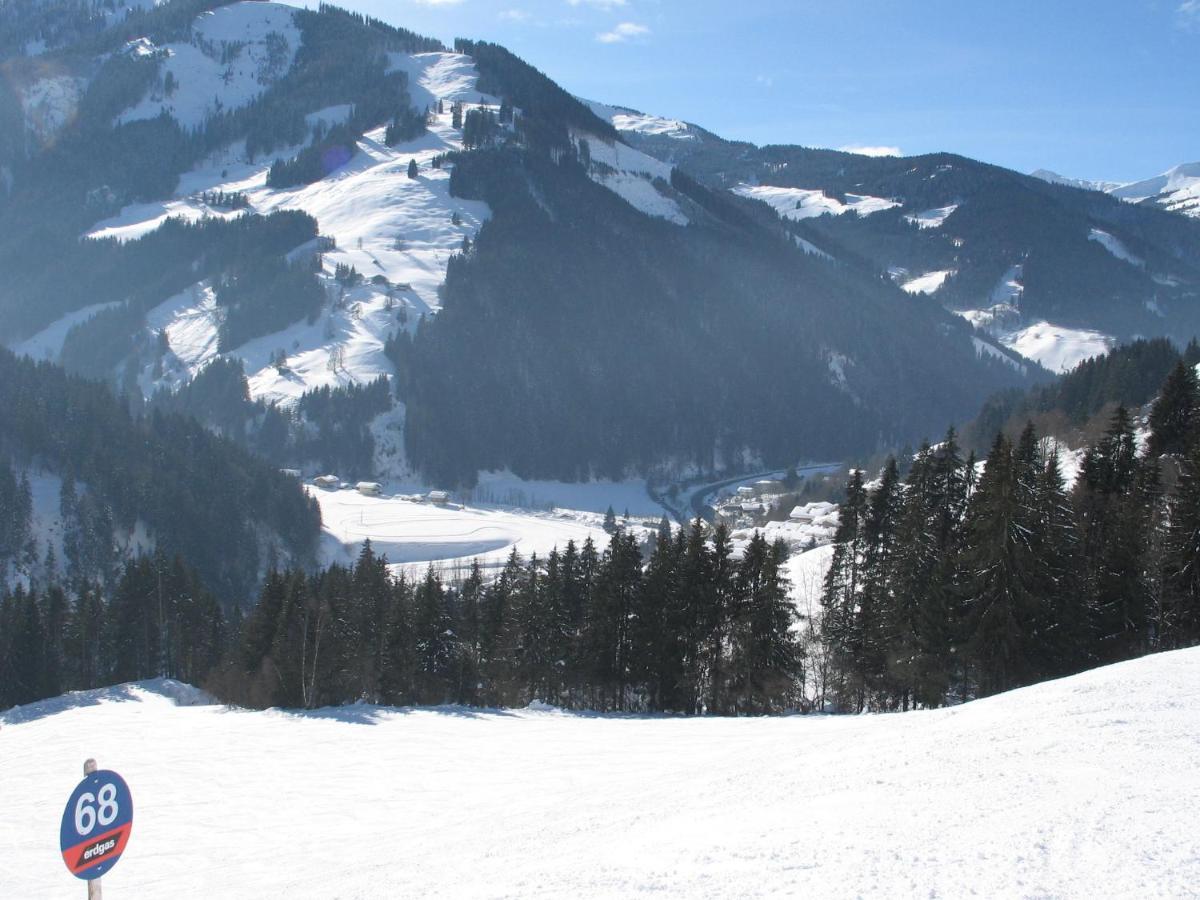 Apartment In Salzburgerland Near The Ski Area 비에호펜 외부 사진